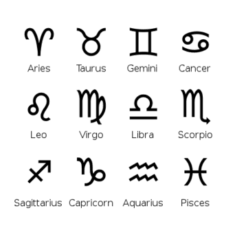 Zodiac Disc Necklace - Barberry & Lace